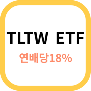 TLTW ETF