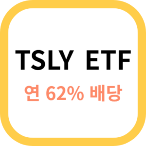 TSLY ETF