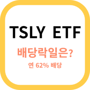 TSLY ETF sumbnail