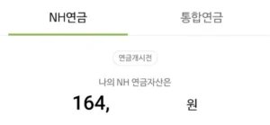 연금자산