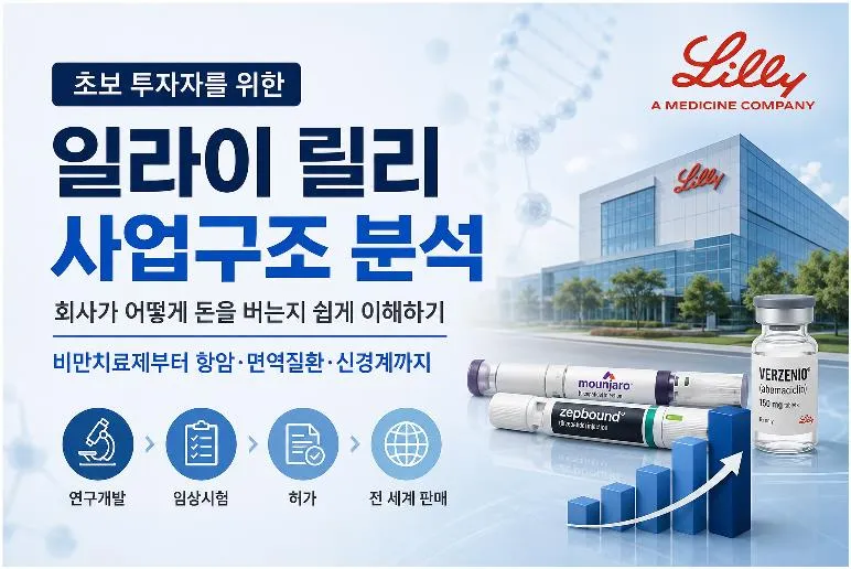 일라이 릴리 사업구조 분석과 비만치료제, 항암제, 면역질환 사업 등 핵심 성장동력을 설명하는 대표 이미지
